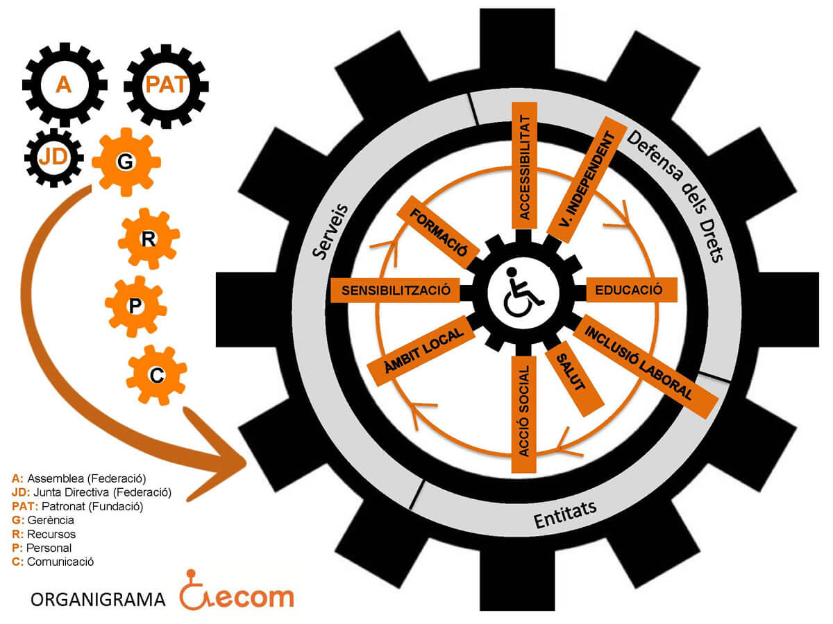 Organigrama d'ECOM