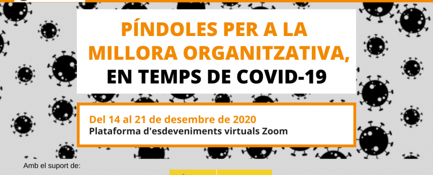 imatge del programa de la formació. Tot la informació al text de la pàgina