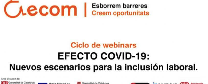 Imagen del cartel del webinar